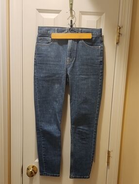 Everlane The High Rise Skinny Jean Size 27